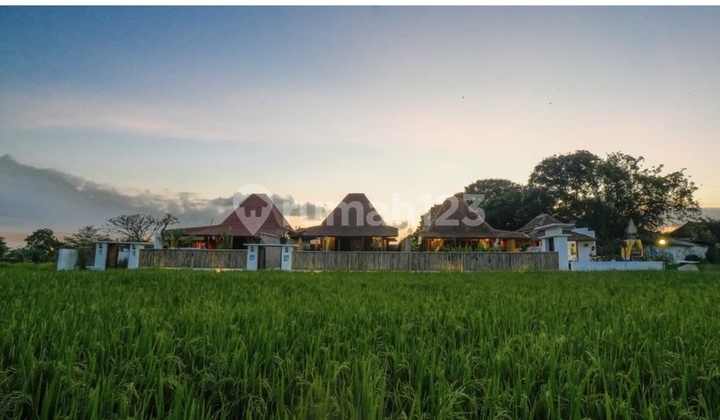 Rent/ Joglo Villa with Rice Field View in Ubud Gianyar Bali