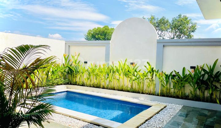 Rent/ Sewa New Villa At Canggu Kuta Bali Neal Umalas Berawa Rent/ Sewa New Villa At Canggu Kuta Bali Neal Umalas Berawa
