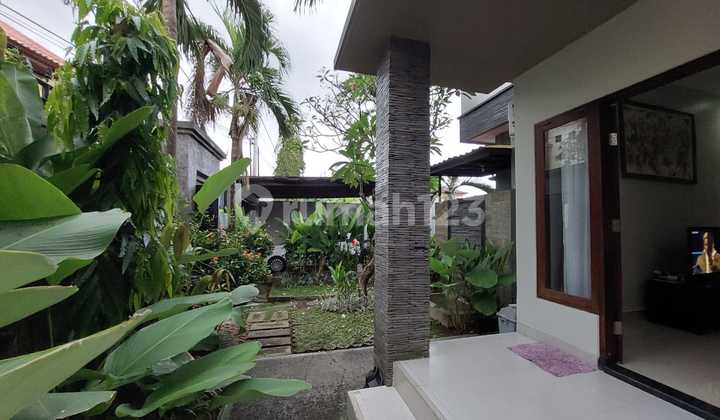Rent/ Sewa Big House At Renon Denpasar Bali Near Sanur 2