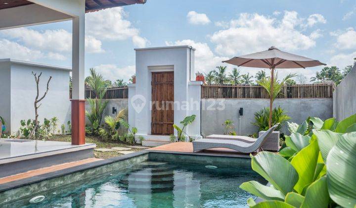 Do 27- Rent/ Sewa Villa Murah Di Ubud Gianyar Bali 2