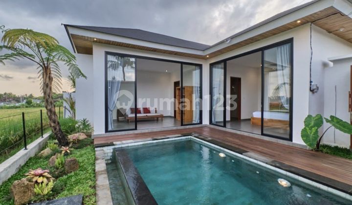 Rent New Villa with Rice Field View in Ubud, Gianyar, Bali
