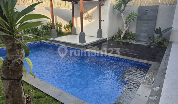 Rent Villa at Buduk Munggu Badung Bali Near Canggu Rent Villa at Buduk Munggu Badung Bali Near Canggu