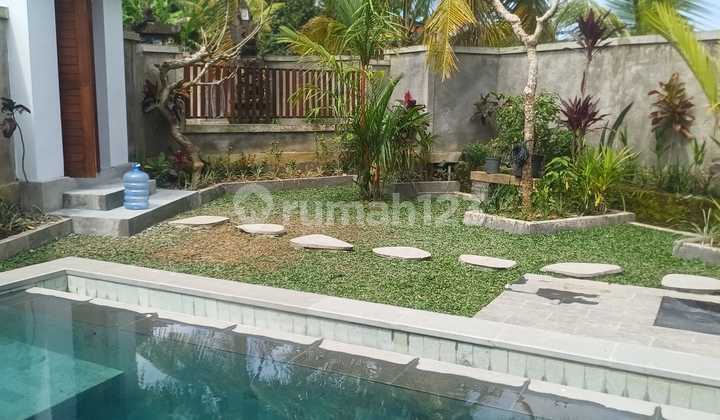 Rent/ Lease New Villa With Rice Field View In Ubud Gianyar Bali