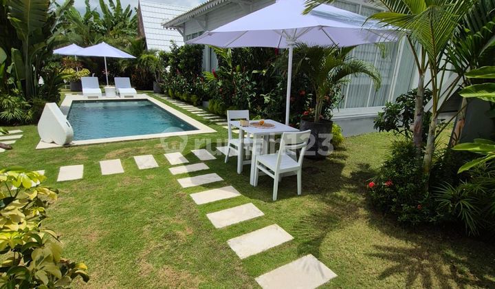 Rent/ Sewa Big Villa With Gardent At Canggu Kuta Bali