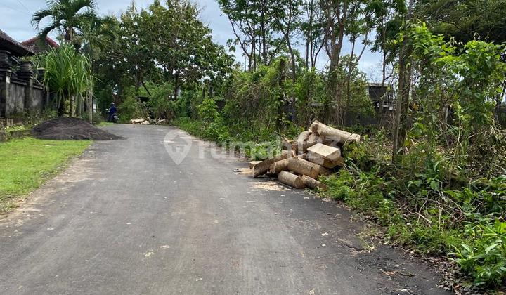 For Sale/ Dijual Tanah Murah Dekat Pecatu Bali Near Uluwatu