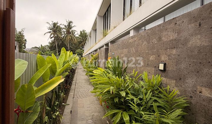 Rent/ Sewa Villa Murah At Pejeng Ubud Gianyar Bali Rent/ Sewa Villa Murah At Pejeng Ubud Gianyar Bali