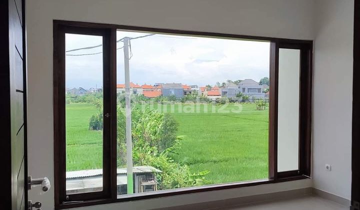 Sale/ Cheap House for Sale with Rice Field View in Renon Denpasar Bali 2