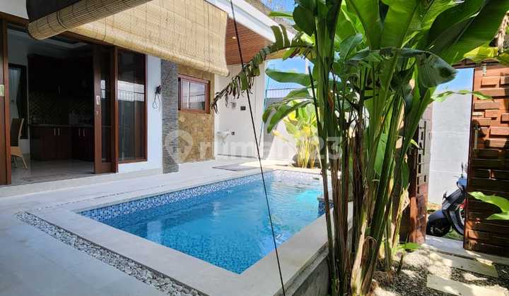 Pj 14- Rent/ Sewa Villa Murah Di Canggu Kuta Badung Bali Pj 14- Rent/ Sewa Villa Murah Di Canggu Kuta Badung Bali