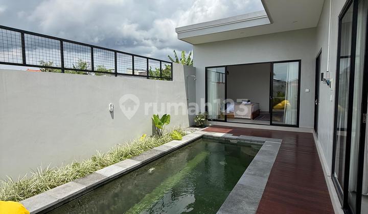 Rent/ Sewa Villa With Rice Fields View At Munggu Bali Near Canggu