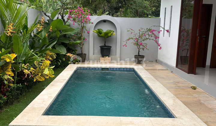 Rent/ Cheap Villa in Nyitdah Tabanan Near Munggu Canggu