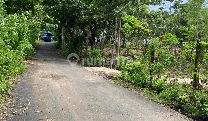 For Sale/ Dijual Tanah Murah Dekat Pecatu Bali Near Uluwatu