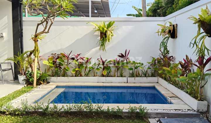 Rent/ Sewa New Villa Sanur Denpasar Bali Rent/ Sewa New Villa Sanur Denpasar Bali