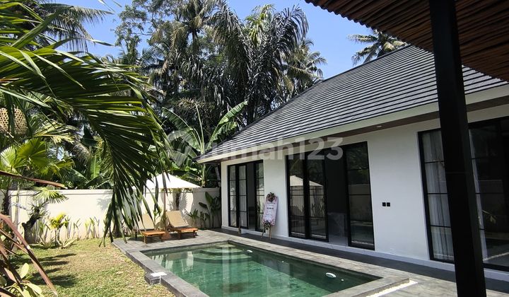 Rent/ Sewa New Villa At Sibang Badung Bali Near Ubud Green School