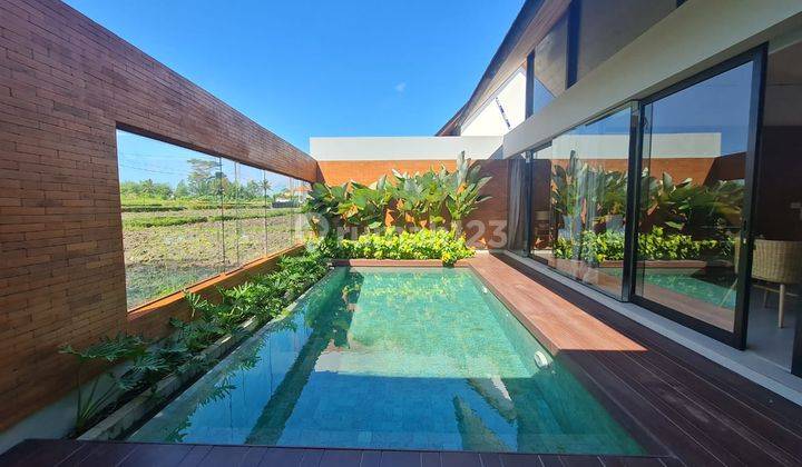 Zn - Rent/ Disewakan Villa Murah View Sawah Di Ubud Gianyar Bali Near Sanur 1