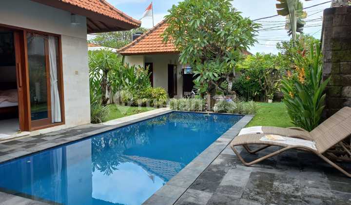 Rent/ Sewa Big Villa At Nusa Dua Kuta Bali Near Jimbaran