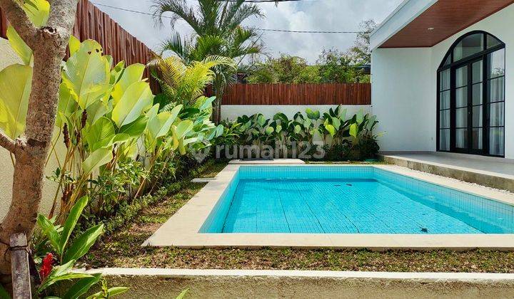 Bl 59- Rent/ Sewa New Villa Murah Di Pererenan Canggu Bali 2