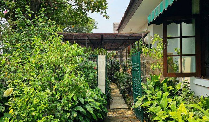 Rumah Murah Classic Asri Nyaman Kemang Selatan Jakarta Selatan 2