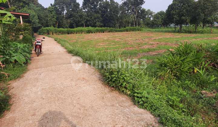Lahan/Tanah darat luas 4211 siap pakai di Setu Ciledug Bekasi Lahan/Tanah darat luas 4211 siap pakai di Setu Ciledug Bekasi
