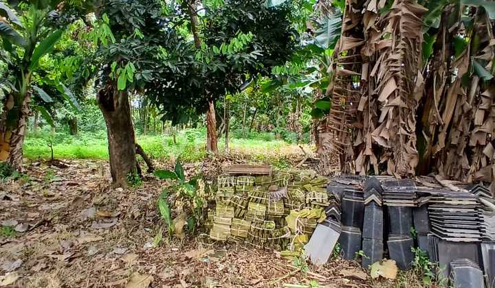Tanah luas 7490 m2 disewakan dekat cipendawa bantar gebang bekasi