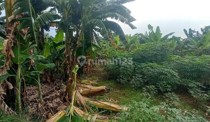 Tanah Darat Siap Bangun Luas 2100 M2 di Depok, Jawa Barat 2