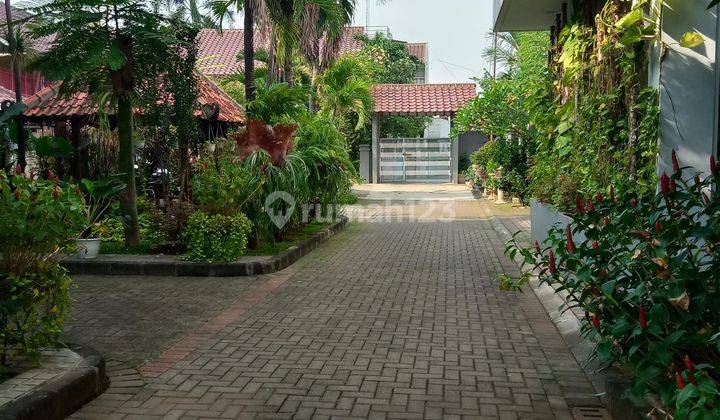 Rumah 2 Lt Bagus SHM di Ciracas Kampung Rambutan Jakarta Timur 2