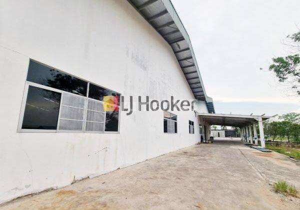 Disewakan Gudang Dengan Tanah Luas Di Kawasan Bintang Industrial Park Ii 2