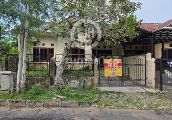 Disewakan Rumah di Sukajadi Kaktus Tiang