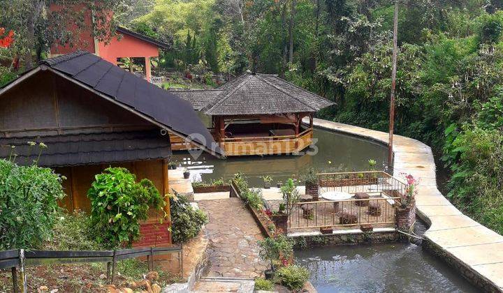 Villa Asri Dan Luas Di Ciwidey Kabupaten Bandung 1