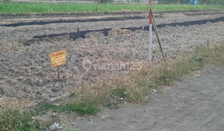 Dijual Tanah Kavling Hadijaya Desa Beton Menganti Gresik 1