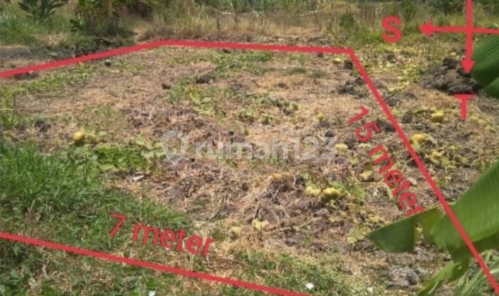 Dijual Cepat B U Tanah Kavling Menganti Dekat Puri Safira