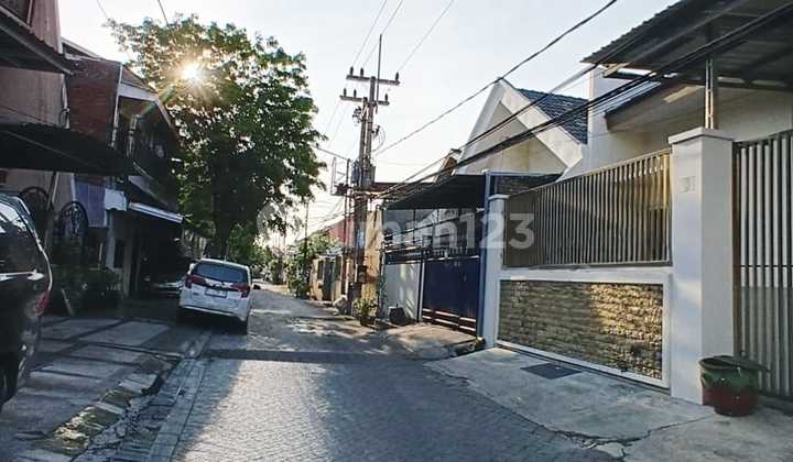 Disewakan Rumah Jln Pisces Dkt Kampus Unair Uwm Rs Mtra Kel Merr 2