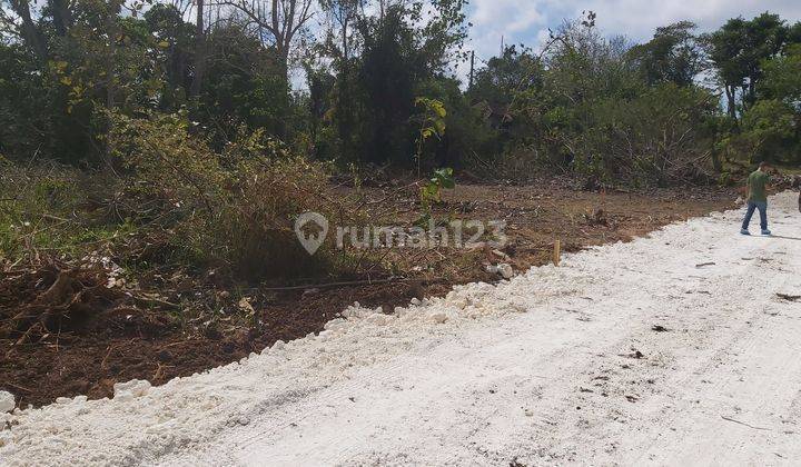 Plot for sale in Gunung Payung Kutuh. 1