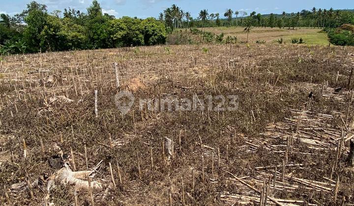 Djual Tanah Bandar Dalam Lampung Selatan Cocok Untuk Investasi