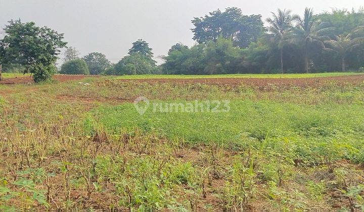 Dijual Lahan 6 Hektar Jarang ada SHM Pinggir Jalan Provinsi  1