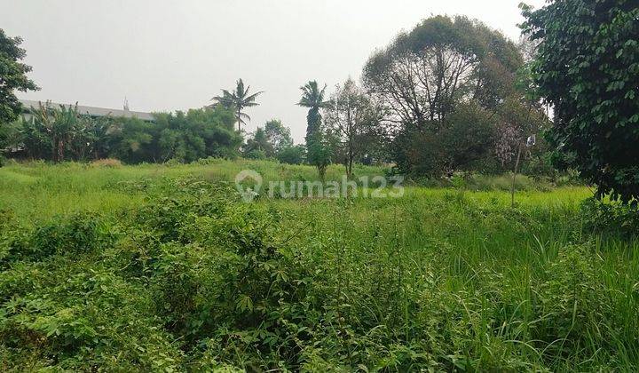 Dijual Lahan 6 Hektar Jarang ada SHM Pinggir Jalan Provinsi  2