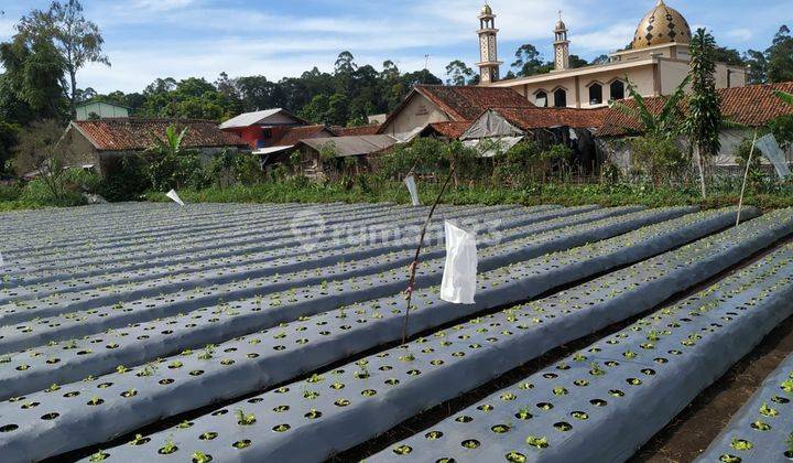 Best Deal Tanah View Gunung di Kolonel Masturi Bandung Barat 2