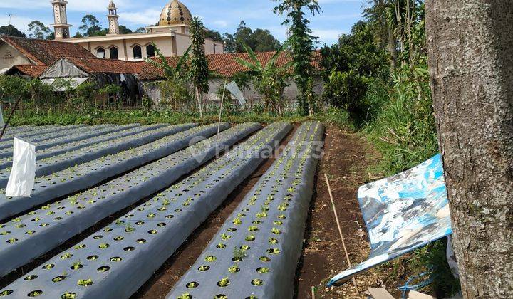 Best Deal Tanah View Gunung di Kolonel Masturi Bandung Barat 1