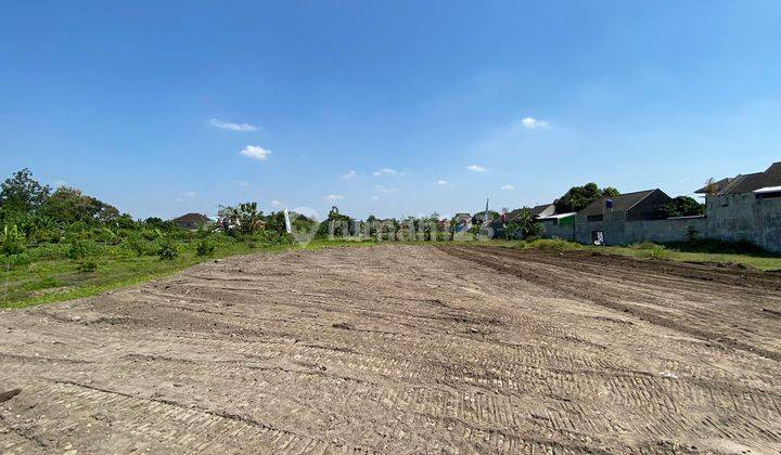 Rumah Joglo Cantik Harga 470jutaan Timur Candi Prambanan Klaten 2