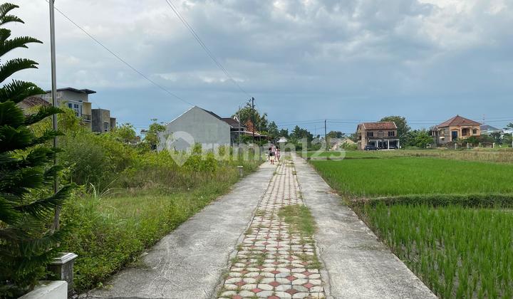 Jual Rumah 2 Lantai di Klaten Kota 1Km Dari Rumah Sakit Tegalyoso Cuma 800Jt Nego Type 88/94M2 2