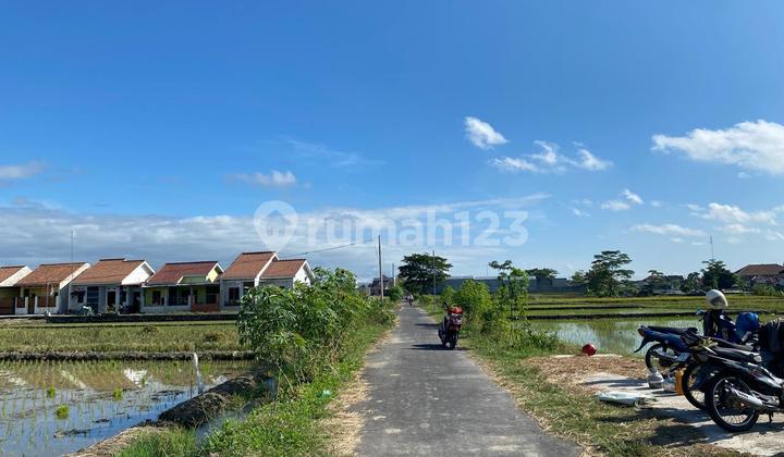 Promo!!! Jual Rumah Harga Bawah Pasaran di Nglinggi Klaten Selatan Cuma 255 Juta Type 30/79m2