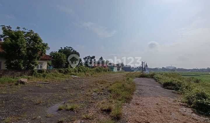 Cuma 2,5Jt/M2 Tanah Kavling Luas 65M2 di Klaten Selatan Deket Sma N 2 Klaten Legalitas SHM Cuma 2,5Jt/M2 Tanah Kavling Luas 65M2 di Klaten Selatan Deket Sma N 2 Klaten Legalitas SHM