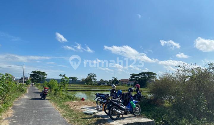 PROMO PERDANA!!! Cuma 255 Juta Udah Dapat Tanah+Bangunan Rumah Baru Type 30/79m2 di Klaten Selatan 2