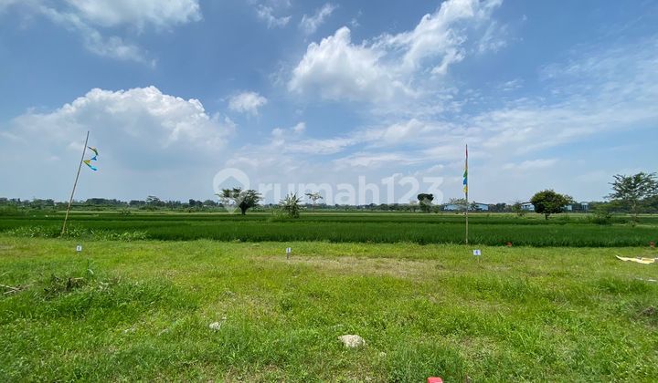 Jual Cepat Tanah Harga Rugi Cuma 1.8Jt/M2 Luas 91M2 Legalitas SHM Lokasi Deket Exit Tol Prambanan