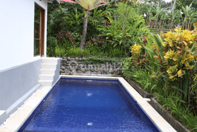 Villa on Barawa Beach Bali with Natural and Comfortable Design 2