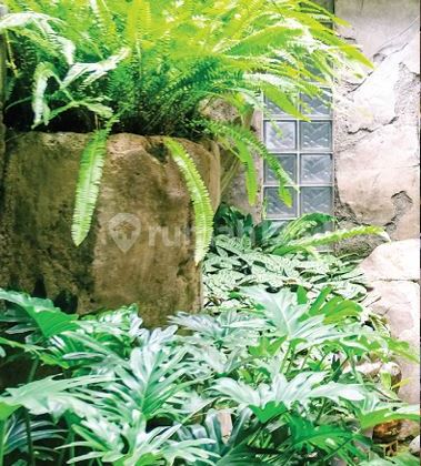 For Sale Rumah Posisi Mainroad cocok untuk Usaha di Bandung 2