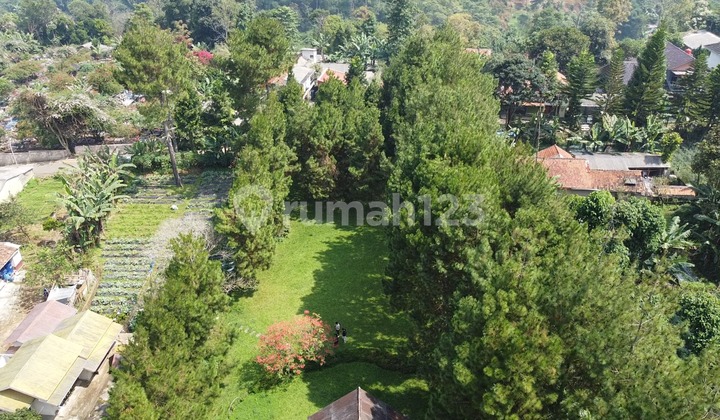 Termurah! Tanah Luas Cocok untuk Villa di Lembang KBB