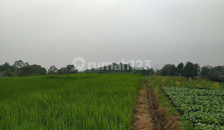 MURAH! Tanah Luas Sudah SHM di Ngamprah Bandung Barat