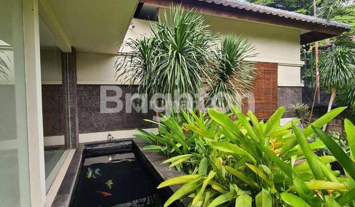 Rumah Tropical di jalan utama Mohammad Kahfi-Ciganjur 2