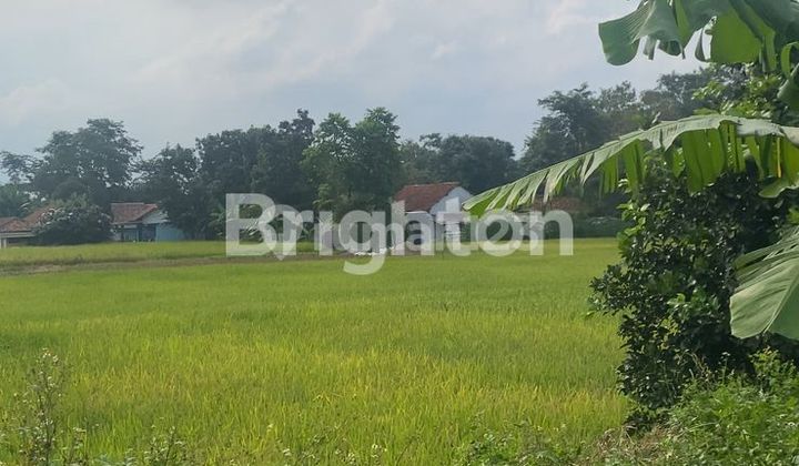 LEGOK LAND, TANGERANG LEGOK LAND, TANGERANG