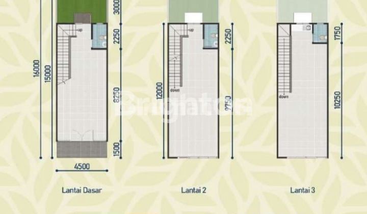 3-story shophouse Hampton Avenue 2